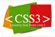 CSS3 logo