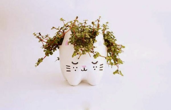 Cute Planters3