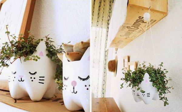 Cute Planters4